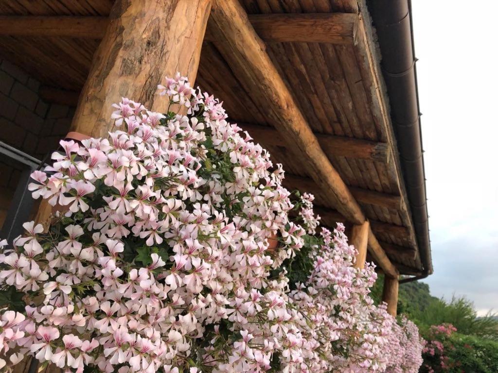 Le Rocce Acomodação com café da manhã SantʼAgata deʼ Goti Exterior foto