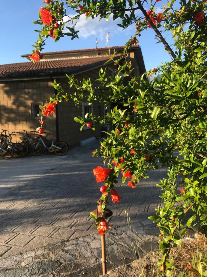 Le Rocce Acomodação com café da manhã SantʼAgata deʼ Goti Exterior foto